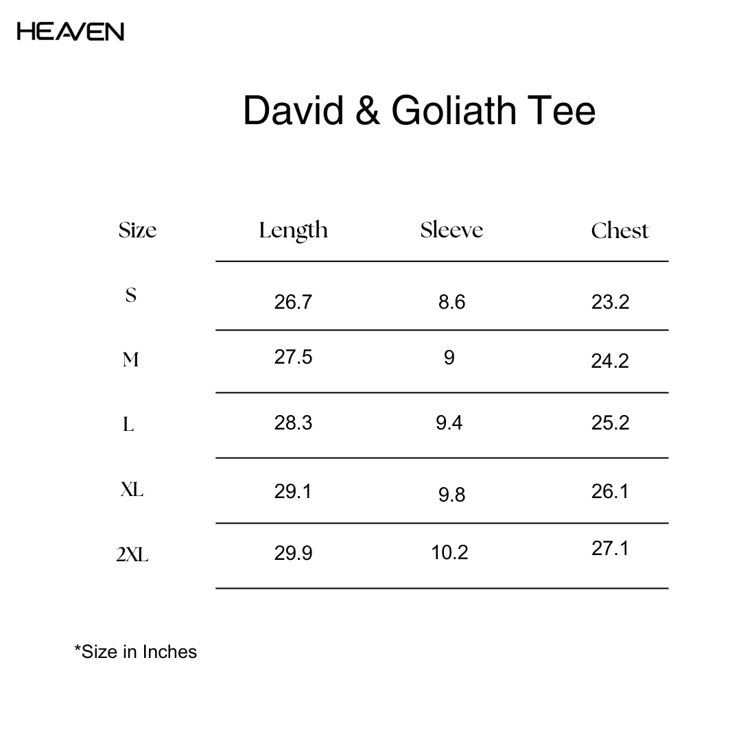 David and Goliath Tee - Oversized Heavy Weight Pump Cover